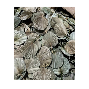 Ventilador de mano de hoja de palma de paja ecológico/ventiladores de bambú coloridos para el verano 99GD/productos al por mayor Vietnam - Product Image 1
