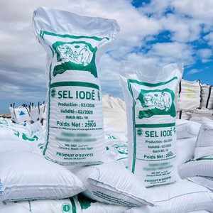 Sal de Mesa Iodada Premium |   Sel Iod De Mer |   Sal Marina Blanca Refinada de Grado Alimenticio en Bolsa de 25 kg - Product Image 5