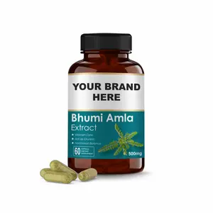 100% Natuurlijk En Plantaardig Supplement Bhumi Amla Extract Capsules | Reiniging & Detox | Rijke Bron Van Vitamine C | Bhumi Capsules