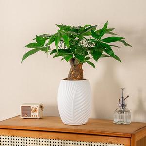 Maceta de autorriego con diseño de hojas: elegancia inspirada en la naturaleza, comodidad moderna - Product Image 5
