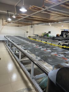 Body de Yoga de 2 Piezas para Mujer, Personalizado al por Mayor, para Gimnasio, Espalda Cruzada, Sin Mangas, Talla Grande, Espalda Descubierta, Estampado de Leopardo, 100% Algodón, Ajuste Ceñido - Product Image 5