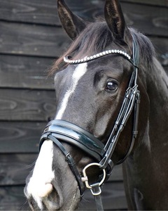 Brida snaffle - Product Image 3