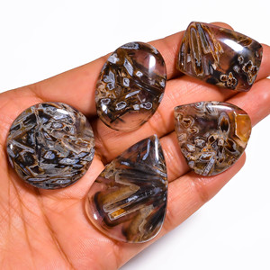 AAA + meilleure qualité agate de bâton de dinde naturelle cabochon en vrac forme de mélange pierre précieuse naturelle en vrac pour la fabrication de bijoux - Product Image 6