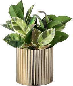 Maceta de latón moderna de alta calidad personalizada, maceta de Metal decorativa de nuevo diseño, hogar, jardín, formas variadas, tamaños - Product Image 1