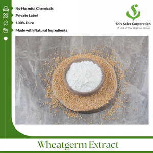 Cantidad a granel más vendida, polvo de extracto de germen de trigo de un reputado proveedor indio a granel - Product Image 3