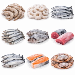 Proveedor de Exportación de Mariscos / Sardinas Congeladas Enteras Redondas IQF - Product Image 5