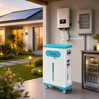 Paquete de Baterías de Litio Shuoyi con Ruedas, 51.2V 314Ah 16.1kWh, con WiFi para Almacenamiento Solar Doméstico, Suministro al por Mayor de Fábrica