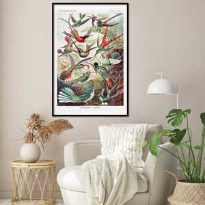 Affiches d'art d'Ernst Haeckel : Colibris, formes de la nature, plaque 99 - Product Image 3