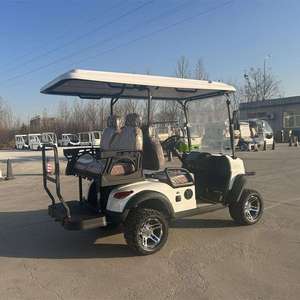 Carritos de golf VIP de lujo a precio económico, de 2 a 8 asientos, con asientos de cuero premium, luces LED, batería de largo alcance, para uso de invitados, en venta. - Product Image 3