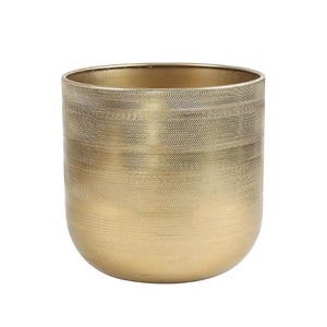 Maceta de Metal con acabado brillante dorado, diseño en relieve, forma redonda, interior, exterior, decorativa, hogar, balcón, maceta para decoración de jardín - Product Image 1