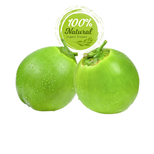 Auténticos cocos frescos: Un sabor de excelencia vietnamita - Product Image 2