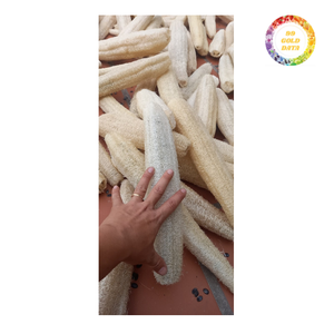 Dried Whole Loofah Gourd from Vietnam Processed for Use in Packaging Supply Chains and Distribution for Commercial Trade Buyers - Product Image 4