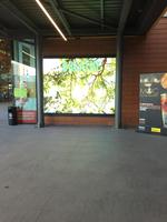 Nuevo Lanzamiento PARYA Pantalla LED a Todo Color para Exteriores, Señalización para Ascensores, Educación, Publicidad, Centros Comerciales, Tiendas Minoristas, Competitivo