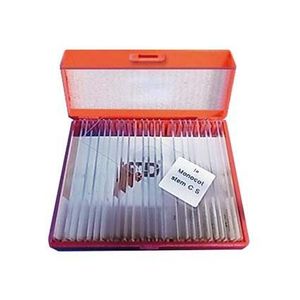 ชุดสไลด์ไมโครสโคปสำเร็จรูปสำหรับแบคทีเรีย จำนวน 6 ชิ้น - Product Image 1