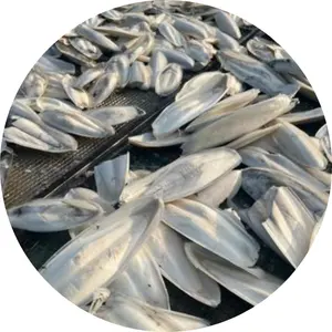 osso di seppia essiccato seppia fresca miglior prezzo osso di seppia per cibo per uccelli origine In Vietnam/ Shyn Tran (+ 84) 382089109