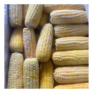 Granos de Maíz Amarillo Congelados de Primera Calidad, Maíz Dulce Natural para Distribuidores Globales, Venta al por Mayor a Granel, Estándar de Servicio de Alimentos - Product Image 1