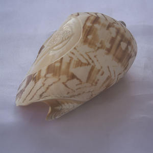 Cymbiola style de sculpture Petit Krishna Ornement Coquillage Bijoux Coquillage Motif Petit Krishna Sculpture - Product Image 4