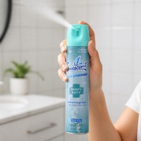 Désodorisant et neutralisant d'odeurs pour la maison, spray désodorisant pour les toilettes, éliminateur d'odeurs, désodorisant en aérosol
