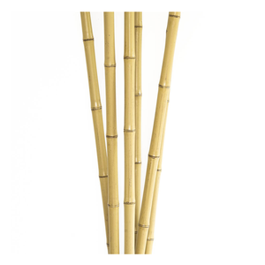 Top Cheapest Indoor and Outdoor Landscape <b>Fence</b> <b>Bamboo</b> Pole Manufactered in Viet Nam by Vigi Farm - Product Image 6