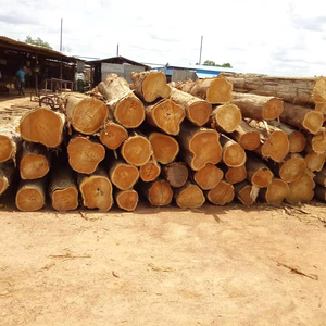 Premium Teak Wood Round <b>Logs</b> Tectona Grandis Natural Hardwood Bulk Export West Africa FOB - Product Image 1