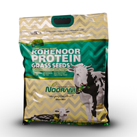 Graines de protéines de millet Kohenoor de qualité supérieure, fourrage nutritif de qualité A1 pour bétail, pureté 99,9 %, certifié HACCP, origine Pakistan