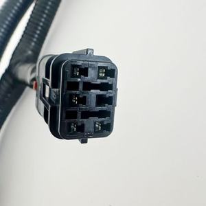 电动汽车混合电缆线束 EV 线束定制 DT04-2P 连接器 PVC 橡胶绝缘铜线 TUV - Product Image 2