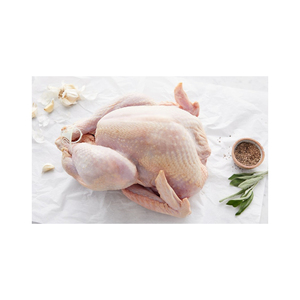 La mejor calidad, saludable y natural, CONGELADO ENTERO, aves de corral, CONGELADO ENTERO, PAVO - Product Image 1