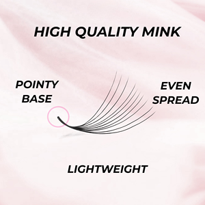 Premade Fans Extensions de cils Loose 8D Lash Premium Quality Natural Using For Daily Makeup Packaging Vietnam Manufacturer diy - Product Image 4