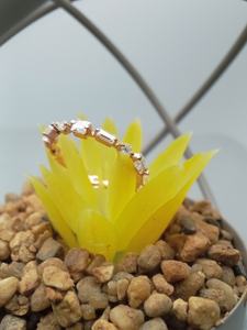Anillo de Compromiso y Boda para Mujer en Oro Amarillo/Rosa Sólido de 14K con Diamante Cultivado en Laboratorio de Corte Esmeralda de 2.0 CT VVS y Plata - Product Image 5
