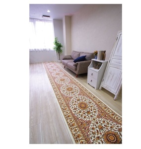 Meilleure vente de tapis délicat lavable en machine Nouveaux tapis de sol d'entrée pour la maison Tapis et ensembles - Product Image 4