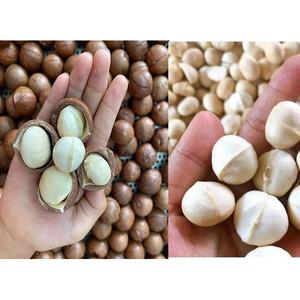 Nueces de Macadamia tostadas secas agrietadas, nueces de Macadamia de Vietnam Cereal nutritivo - Product Image 3