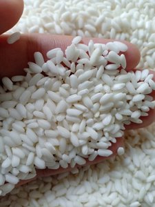 Arroz suave de grano largo, arroz glutinoso, origen de Vietnam, Ms Sophie, precio competitivo - Product Image 2