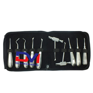 Juego de 10 Uds. De elevadores de raíz de acero inoxidable, juego de elevador Dental de mango pequeño, elevadores de raíz Dental de invierno - Product Image 4