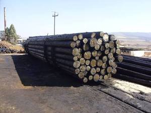 Quality Treated Wooden Utility Transmission Poles | Black 5-Year Warranty IEC60439 Standard 110V Model for Sale - Product Image 4
