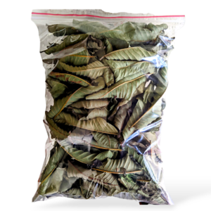 Feuilles de goyave séchées en vrac du Vietnam pour les produits de thé aux herbes biologiques - Product Image 2