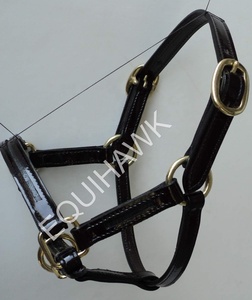 Venta al por mayor occidental accesorio suave acolchado canal vacío cuero Halter sillín en inglés diseño con ajuste de latón - Product Image 5