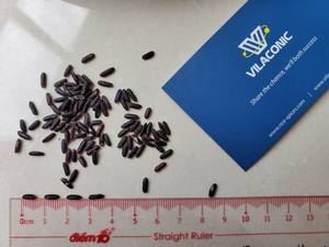 Premium 2025 Nouvelle récolte de riz noir de haute qualité séché exporté/riz Emily - Product Image 4