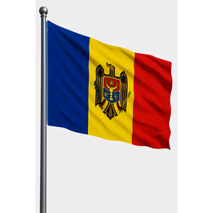 Digital Printing Car & Hand <b>Flag</b> with Silk Banners Aluminum <b>Pole</b> <b>for</b> Automotive Insurance Education Travel Agency - Product Image 1