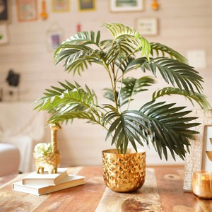 Gran oferta, maceta redonda de Metal, acabado Premium para entradas y esquinas interiores para jardín, precio razonable - Product Image 4