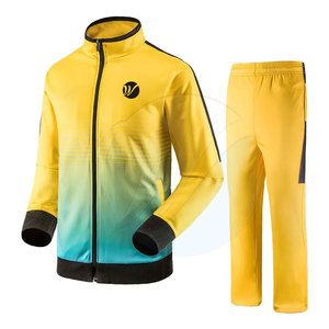 Ensembles de costumes de jogging légers respirants de printemps pour hommes de haute qualité 100% polyester vente en gros pas cher - Product Image 2