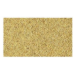 Millet jaune décortiqué biologique riche en protéines, sans gluten, pour la bouillie - Product Image 1