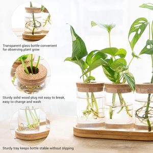 Terrarium <span class=keywords><strong>de</strong></span> propagation des plantes, station <span class=keywords><strong>de</strong></span> plantation en verre <span class=keywords><strong>de</strong></span> bureau, vase en verre pour plantation aquatique avec couvercle et support en bois, décoration <span class=keywords><strong>de</strong></span> bureau, 3 pièces - Product Image 4