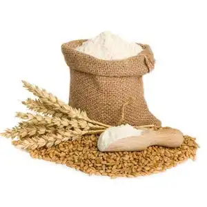 Farine de blé polyvalente de qualité supérieure/farine de blé pour le pain