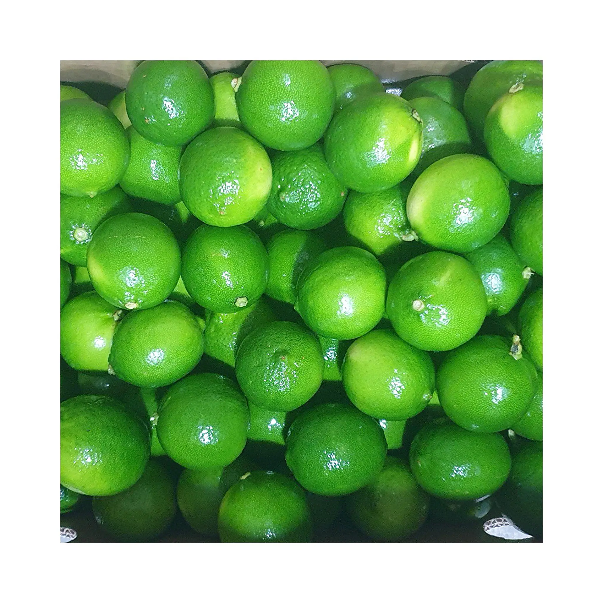 Lime fresco senza semi limone Elysia 0084789310321 Vietnam stile imballaggio 5Kg Per scatola con colore verde acido naturale T/T, L/C 4 up Cm