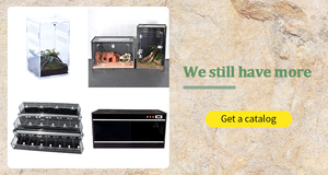 HEISSER Verkauf PVC Acryl Baumterrarium 30x30x45cm Kundenspezifisches Design auf Holzpalette Gecko Reptiliengehege - Product Image 2