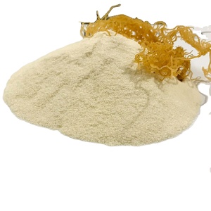 High Quality Seamoss Powder 100% From Natural <b>Seaweed</b> with Competitive Price - Product Image 1