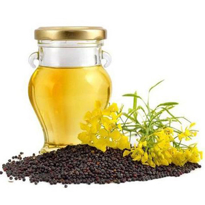 Top Quality Refined Rapeseed Oil for Sale At Best Price - Product Image 1