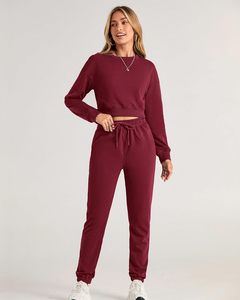 À la mode femmes hiver Streetwear survêtement à capuche ensemble léger 100% coton à manches longues haut pantalon sport gymnastique formation en plein air - Product Image 3