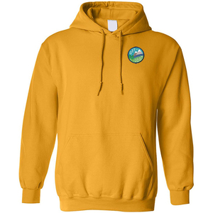 Los hombres ropa de impresión de logotipo personalizado chenilla parches sudaderas con capucha de manga larga bien profesional de calidad 100% algodón de peso pesado de diseño - Product Image 4