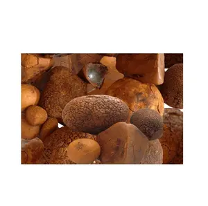 bulk buyer ox cow gallstones cattle buffalo cows product yellow original whole broken gallstone supplier for sale